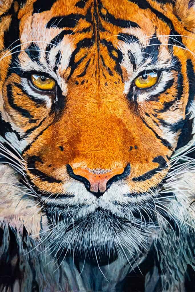 artiste peintre - artbyabd - artiste contemporain français - idées déco murale - peinture figurative - galerie d'art en ligne